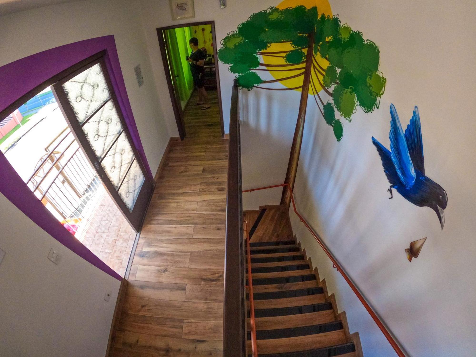 Хостел Jardim Botanico House Курітіба Екстер'єр фото